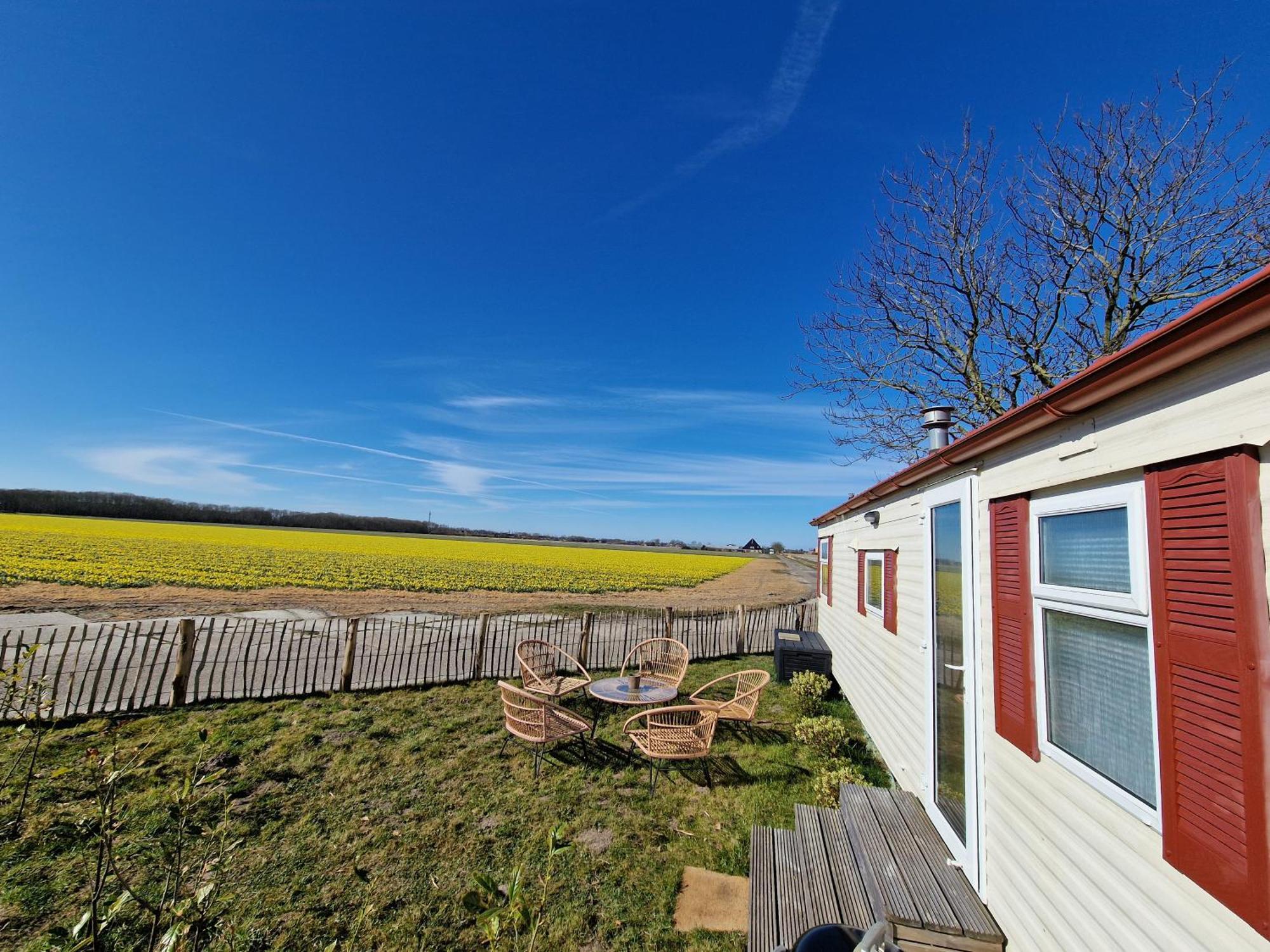 Chalet 'Como La Flor' Julianadorp Flowerfields Overview! Eksteriør billede